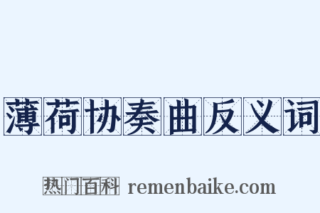 薄荷协奏曲反义词是什么意思的图片